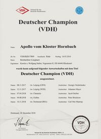 Apollo Champion VDH 001